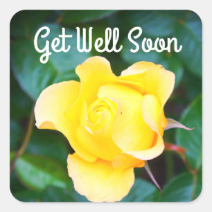 Get Well Soon Walking on Sunshine Rose #1 Stickers