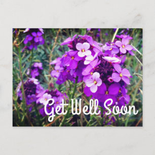 Get Well Soon Wallflower Bowles Mauve #1 Postcard