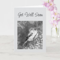 Get Well Soon Watercolor Sparrow Bird in Forest