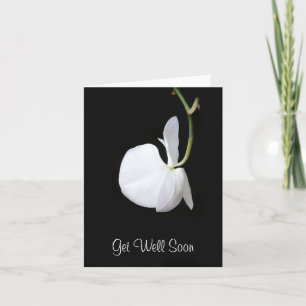 Get Well Soon White Flower Hanging on Black Card