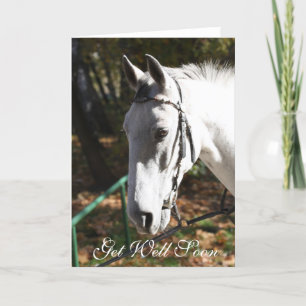 Get Well Soon White Horse Greeting Card