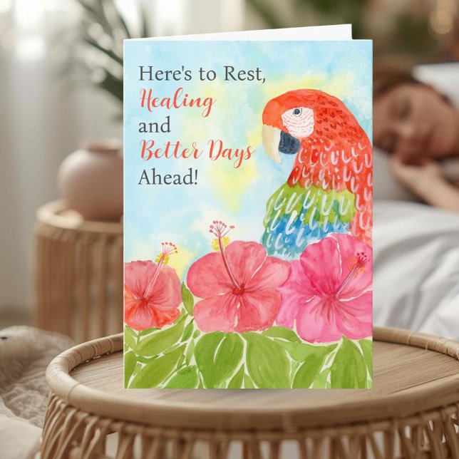 Get Well Soon with Scarlet Macaws and Hibiscus Card (Creator Uploaded)
