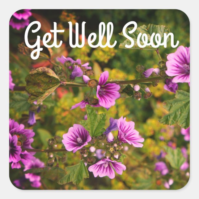 Get Well Soon Zebra Hollyhock Flowers Stickers (Front)