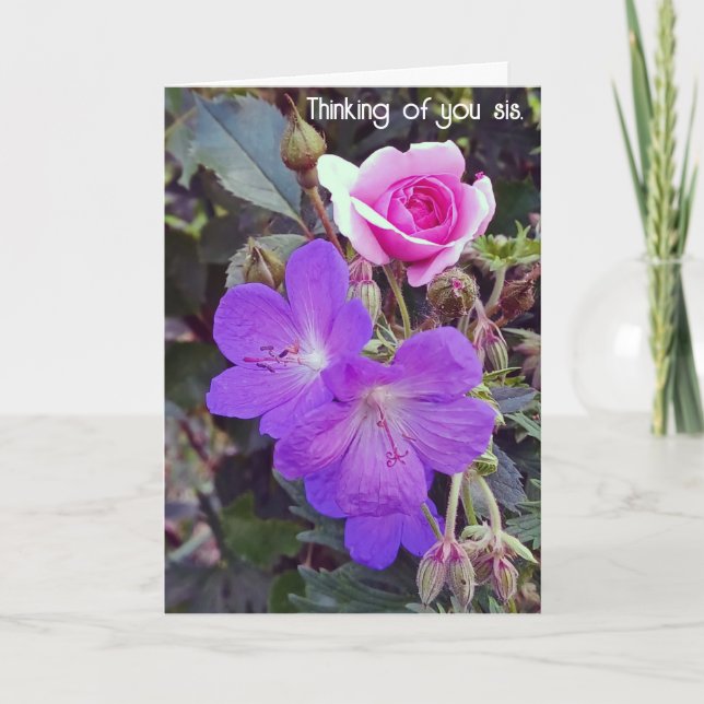 Get Well Speedy Recovery Sister card (Front)