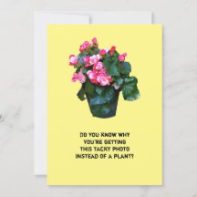 Get well tacky flowers floral pot, greeting card