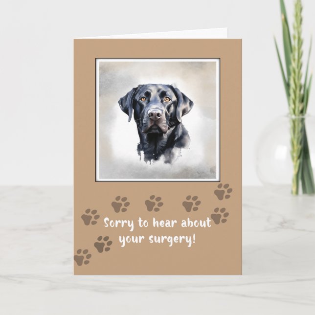Get Well to Dog After Surgery With Black Lab Card (Front)