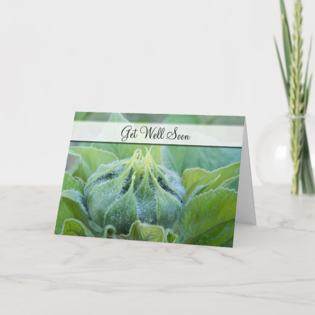 Get Well Wet Sunflower Bud Close-Up Photograph Card (Front)