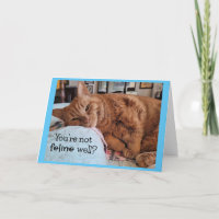 Get Well Wishes from Ginger Cat
