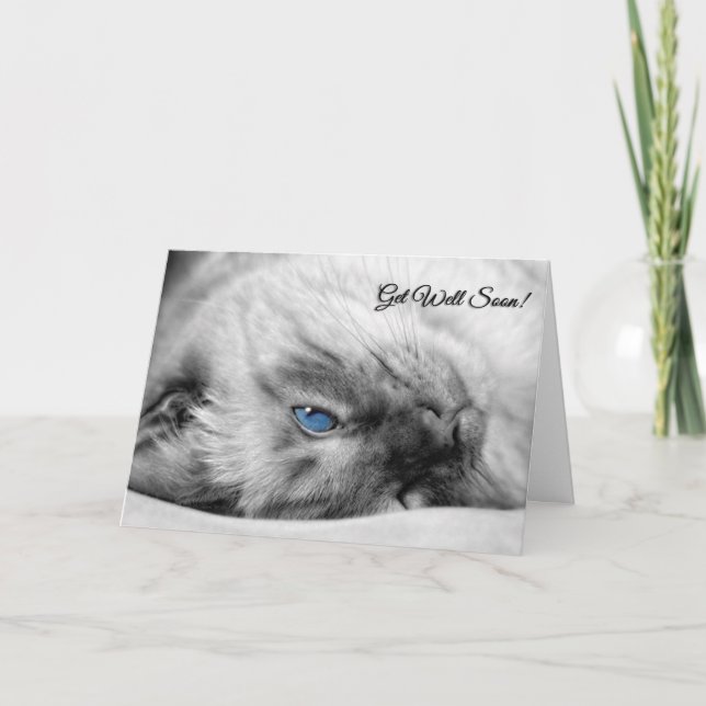 Get Well Wishes Siamese Cat Card (Front)