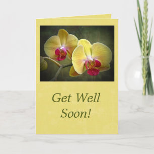 Get Well Yellow Moth Orchids - Phalaenopsis Card