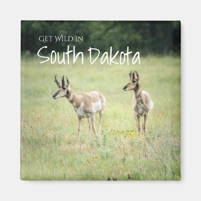 Get Wild in South Dakota Magnet (Front)