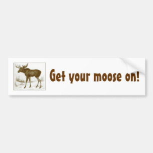 Get your moose on-bumper sticker
