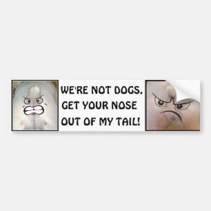 Get Your Nose Out of My Tail! Bumper Sticker