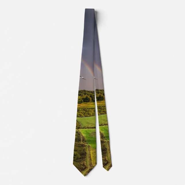 Getting Ahead Of The Storm Painterly Neck Tie (Front)