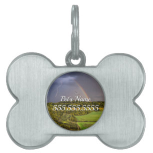 Getting Ahead Of The Storm Painterly Pet ID Tag