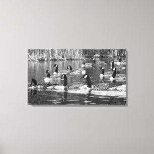 Getting into Formation Canvas Print
