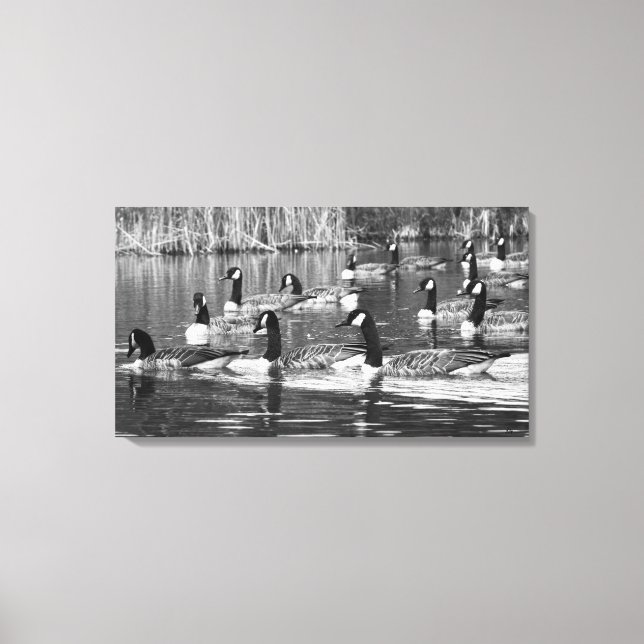 Getting into Formation Canvas Print (Front)