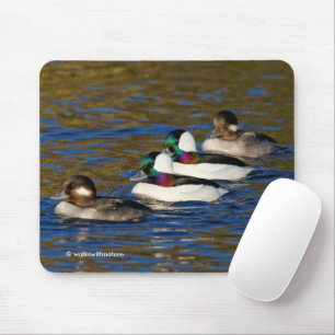 Getting My Ducks in a Row: Four Buffleheads Mouse Mat