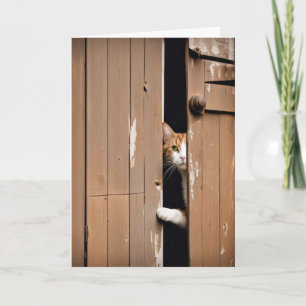 Getting Old Birthday Barn Cat  Card