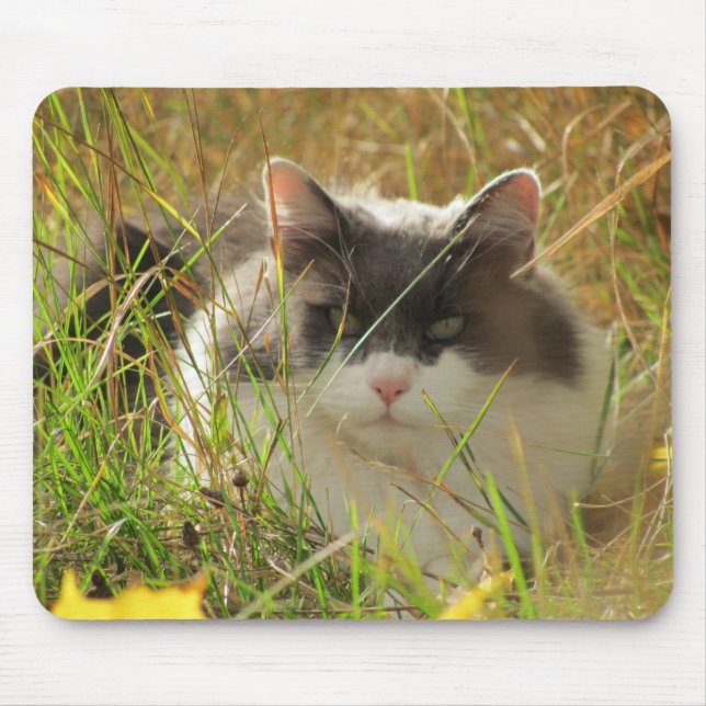 Getting some sun. mouse mat (Front)