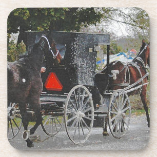 Getting the new horse home. #amish #horse coaster
