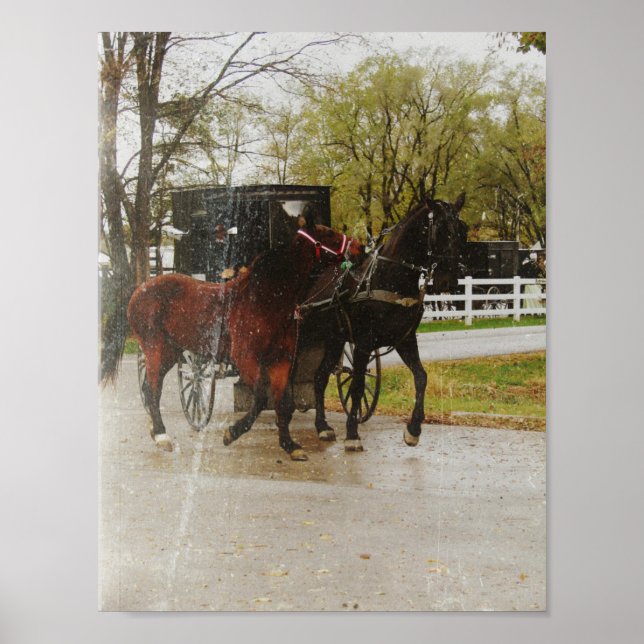 Getting the new horse home the Amish way Poster (Front)