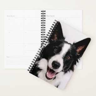 Getty Images   A Smiling Border Collie Planner