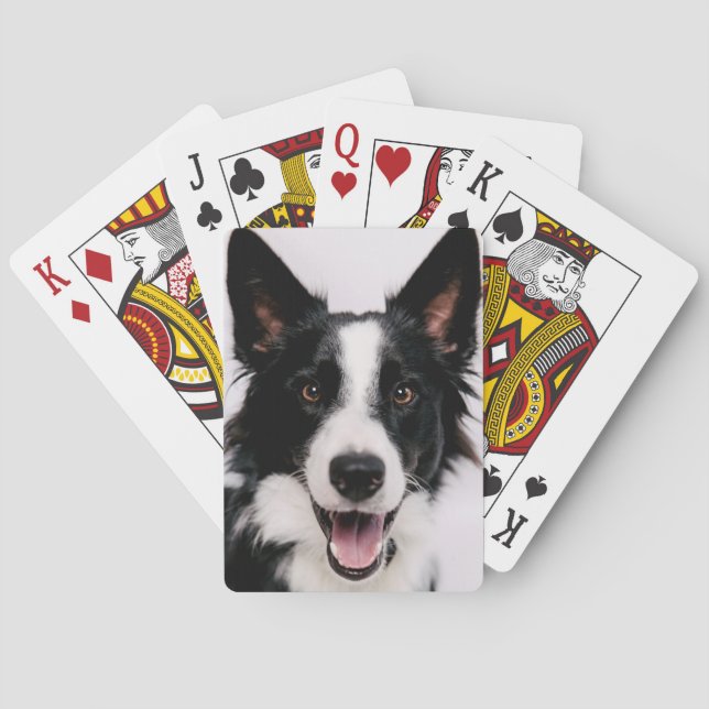 Getty Images | A Smiling Border Collie Playing Cards (Back)