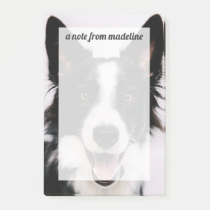 Getty Images   A Smiling Border Collie Post-it Notes