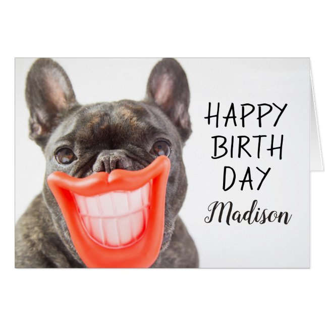 Getty Images | A Smiling Dog (Front Horizontal)