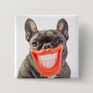 Getty Images   A Smiling Dog 15 Cm Square Badge