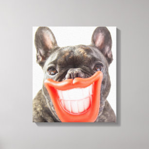 Getty Images A Smiling Dog Canvas Print