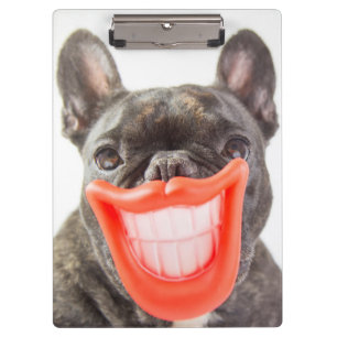 Getty Images   A Smiling Dog Clipboard