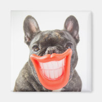 Getty Images | A Smiling Dog