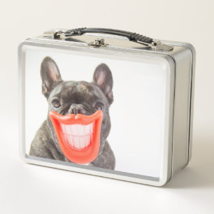 Getty Images   A Smiling Dog Metal Lunch Box