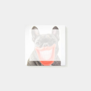 Getty Images A Smiling Dog Post-it Notes