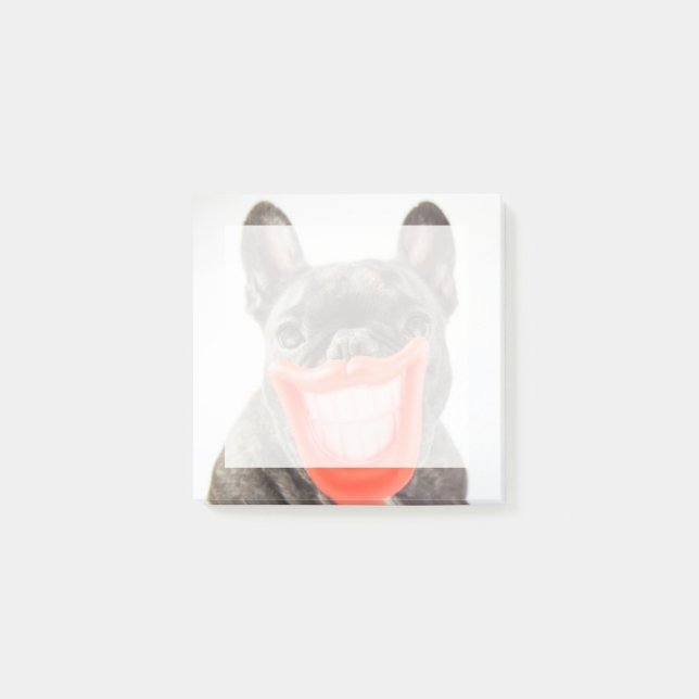 Getty Images | A Smiling Dog Post-it Notes (Front)