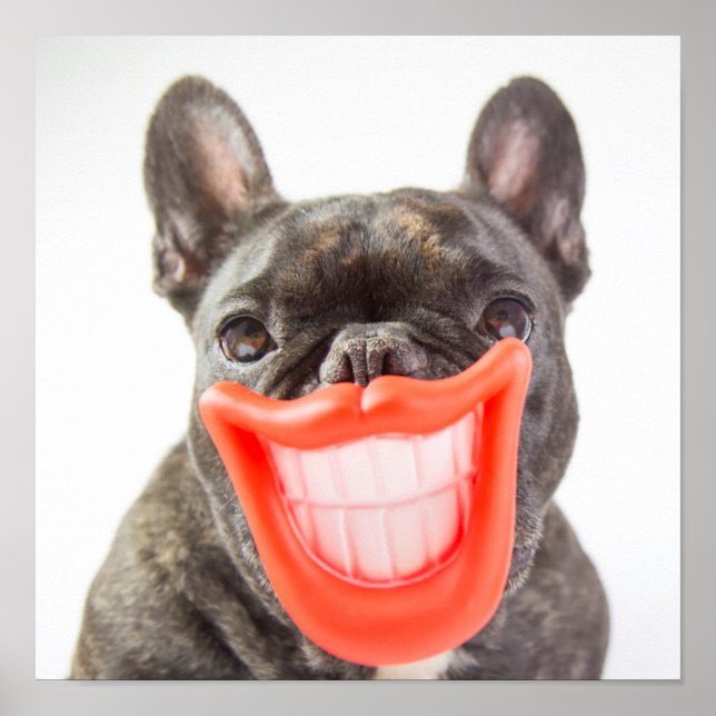 Getty Images | A Smiling Dog Poster (Front)