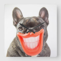 Getty Images | A Smiling Dog