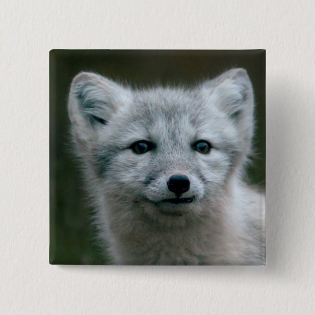 Getty Images | Arctic Fox Kit 15 Cm Square Badge (Front)
