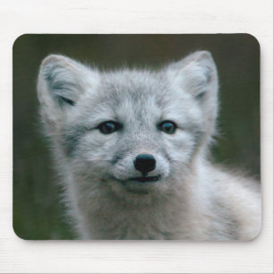 Getty Images   Arctic Fox Kit Mouse Mat