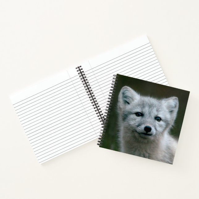 Getty Images | Arctic Fox Kit Notebook (Inside)