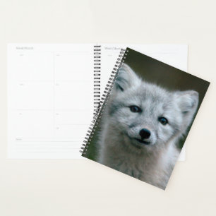 Getty Images Arctic Fox Kit Planner