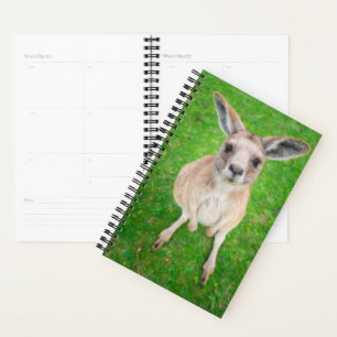 Getty Images Baby Kangaroo Planner