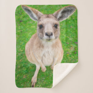 Getty Images   Baby Kangaroo Sherpa Blanket
