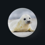 Getty Images | Baby Seal 3 Cm Round Badge<br><div class="desc">Just looking at this fluffy, white baby seal will make you wish you could cuddle it. Getty Images shows the beauty of these majestic creatures with an adorable close up of a seal pup. With big, soft, brown eyes and whiskers that make your heart melt, it’s sure to give you...</div>