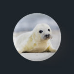 Getty Images | Baby Seal 3 Cm Round Badge<br><div class="desc">Just looking at this fluffy, white baby seal will make you wish you could cuddle it. Getty Images shows the beauty of these majestic creatures with an adorable close up of a seal pup. With big, soft, brown eyes and whiskers that make your heart melt, it’s sure to give you...</div>