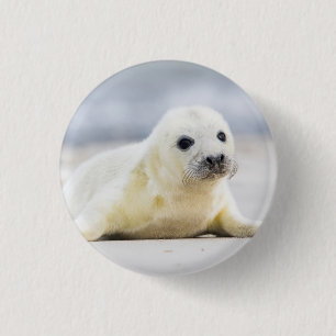 Getty Images Baby Seal 3 Cm Round Badge