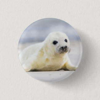 Getty Images | Baby Seal 3 Cm Round Badge