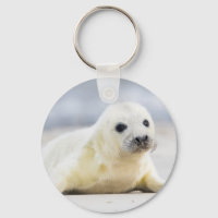 Getty Images | Baby Seal
